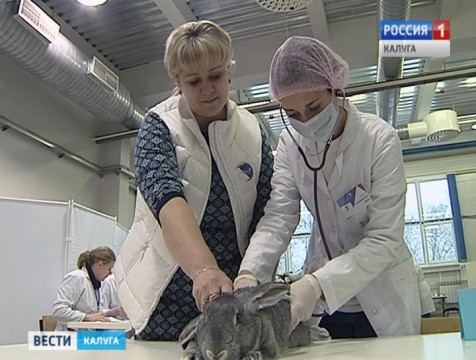 Лучших молодых специалистов рабочих профессий выбрали в Калуге