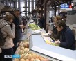 сырный-фестиваль3-1119.jpg
