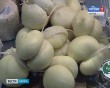сырный-фестиваль7-1119.jpg
