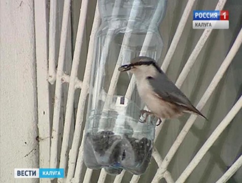 Национальный парк «Угра» объявил 2 селфи-конкурса