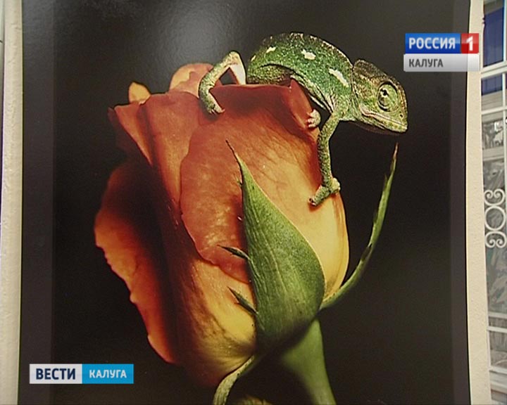 сто-чудес-света1-1202.jpg