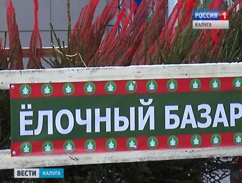 На 22 площадках в Калуге откроются ёлочные базары