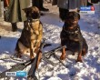 Реконструкция2-1209.jpg