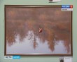 выставка-Логвинов2-1020.jpg