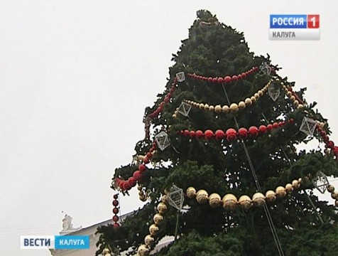 В Калуге завершилась установка главной новогодней ёлки города