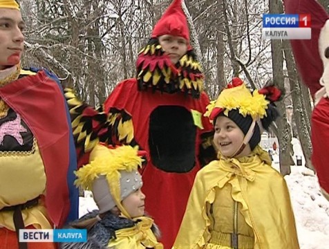 Лучший карнавальный костюм «Символ года-2017» выбрали в Калуге