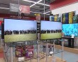 Зубры-выставка1-0116.jpg