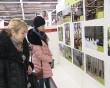 Зубры-выставка3-0116.jpg