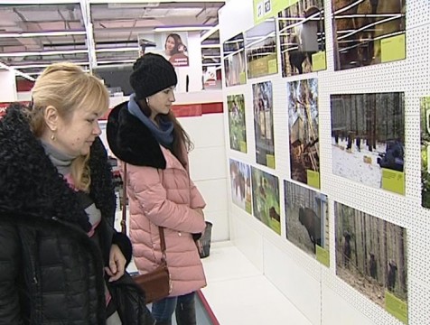 Нацпарк «Угра» занялся экологической пропагандой в торговых центрах