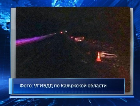 ДТП с участием трех лосей произошло в Калужской области