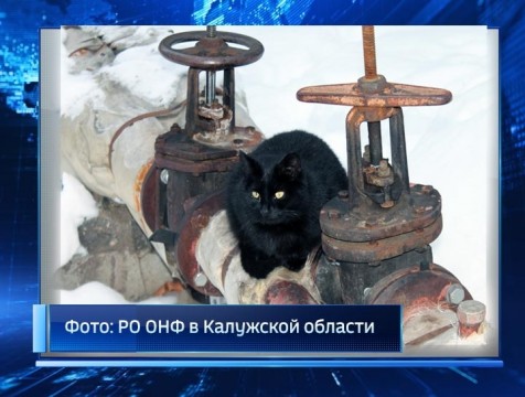 Активисты ОНФ выявили теплосети, которые отапливают улицу