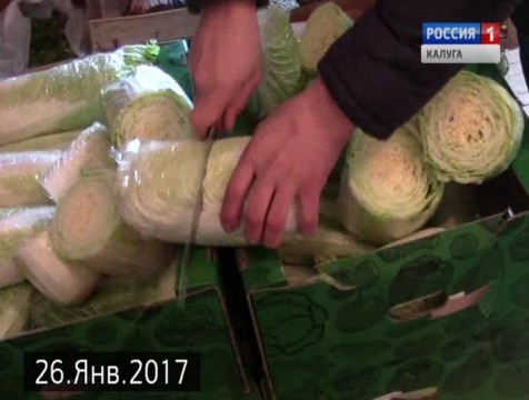 Почти 500 килограммов санкционных продуктов обнаружено в регионе за месяц