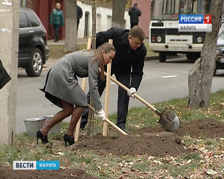 липы1023.jpg