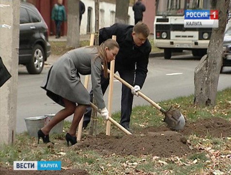 Улицы Калуги украсили саженцами лип