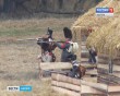 Малоярославецкое-сражение-5-1026.jpg