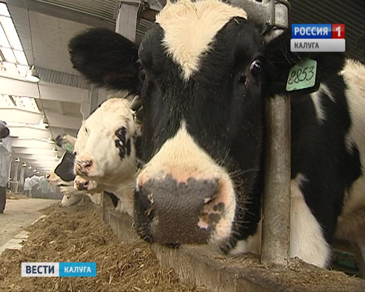 Ферма5-1124.jpg