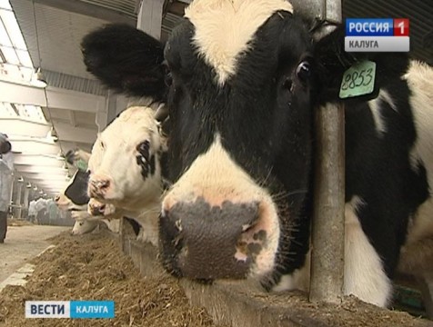 Региональная программа «100 роботизированных ферм» будет продлена
