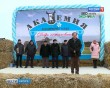 Ферма-коровы1-0210.jpg