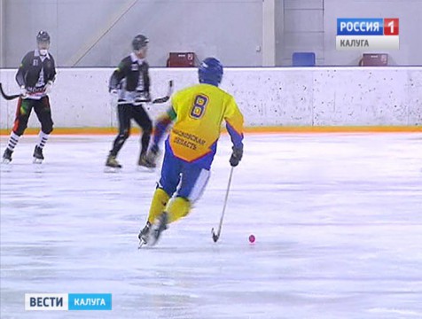 Открытый турнир по хоккею с мячом прошёл в Обнинске