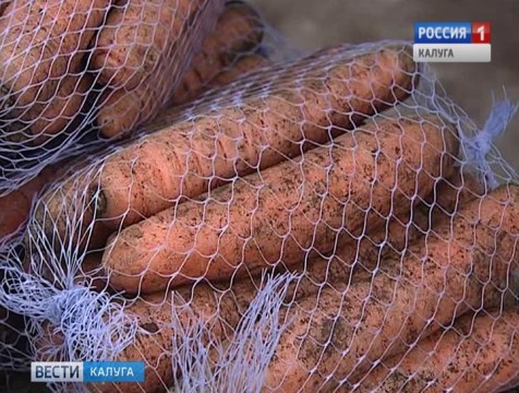 В области на 10% подорожала морковь