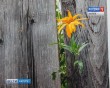 Фотовыставка-Улыбка2-0313.jpg