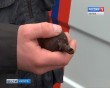 ГранатаТруда-0322.jpg