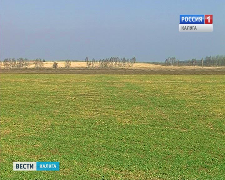 Поле0512.jpg