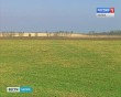 Поле0512.jpg
