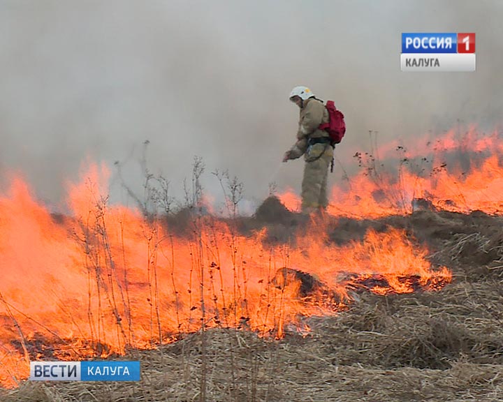 Пал-травы1-0330.jpg