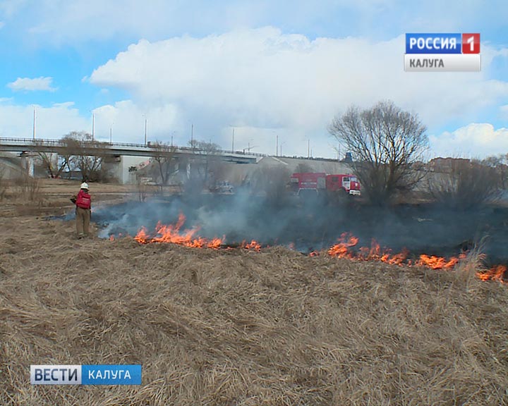Пал-травы2-0330.jpg