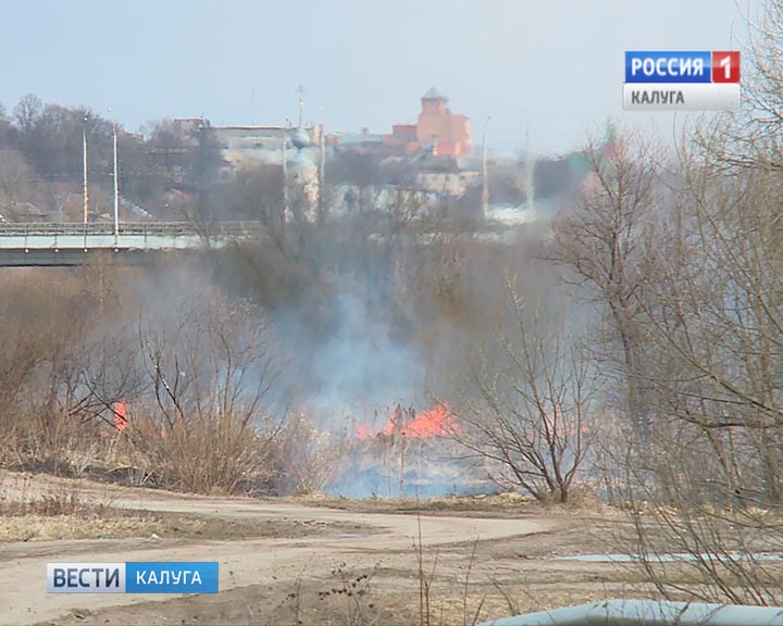 Пал-травы4-0330.jpg