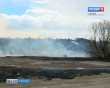 Пал-травы3-0330.jpg