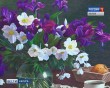 Выставка-КНДР4-0422.jpg