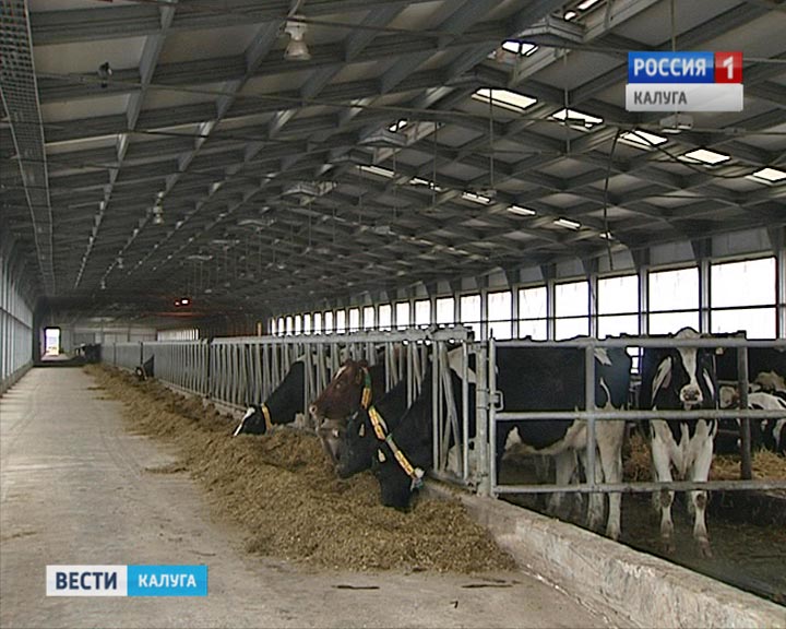 Коплекс-Роботы1103.jpg