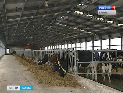 Крупнейший в России животноводческий комплекс открыли в Ферзиковском районе