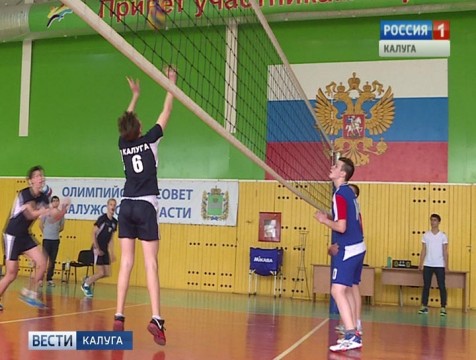 Межрегиональный турнир по волейболу стартовал в Калуге
