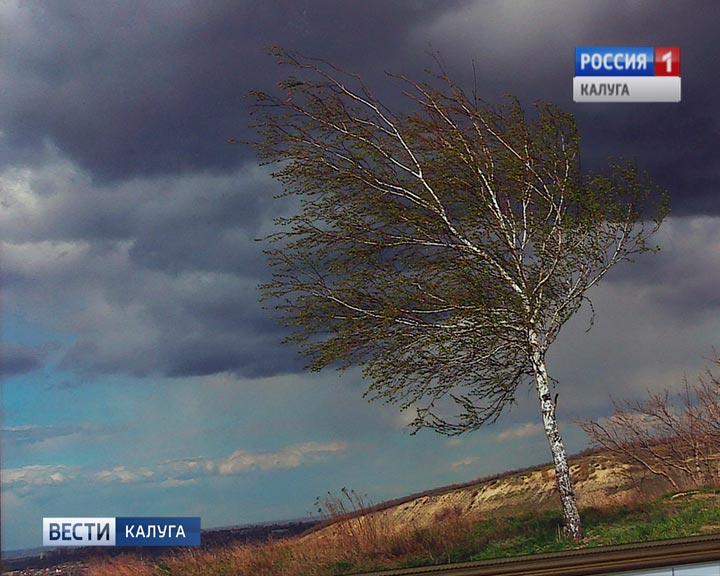 Экология-души4-0517.jpg