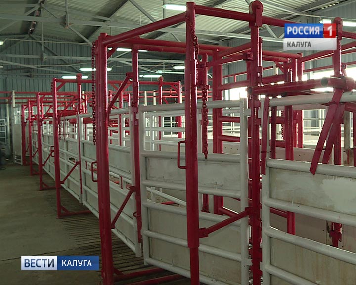 Ферма-коровы1-0526.jpg