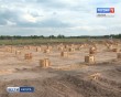 Грибоферма2-0526.jpg