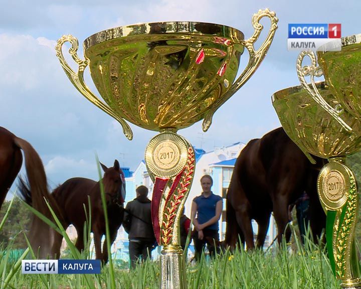Конный-спорт1-0526.jpg