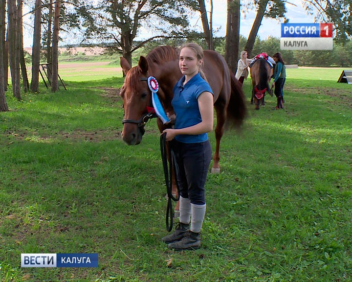 Конный-спорт2-0526.jpg