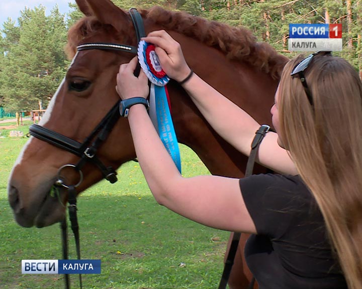 Конный-спорт4-0526.jpg