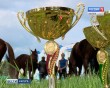 Конный-спорт1-0526.jpg