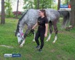 Конный-спорт3-0526.jpg