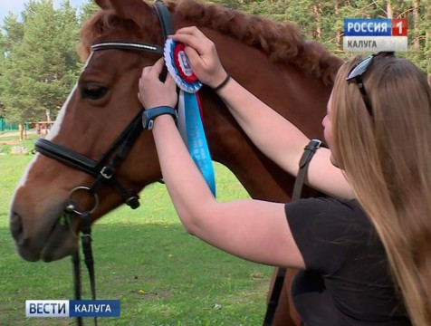 Калужские всадники вернулись с медалями первенства Москвы