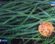 Фотовыставка-волонтеры6-0602.jpg