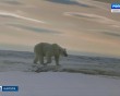 Выставка-За-бортом1-0622.jpg