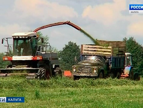 С улучшением погоды в регионе развернулась заготовка кормов