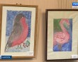 Выставка-Крылья-мечты4-0712.jpg