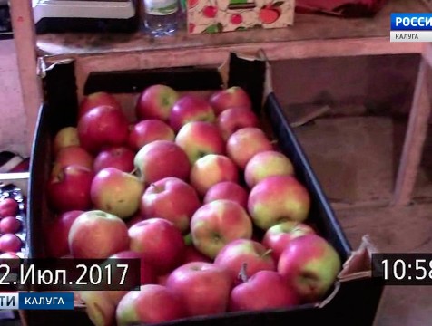 130 килограммов польских яблок и украинских томатов изъяли в Калуге